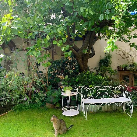 Casa Gori *