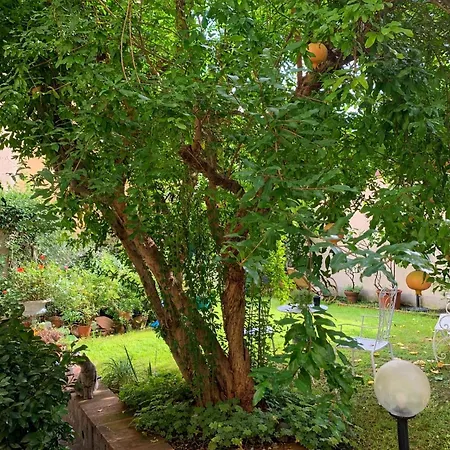 Appartement Casa Gori